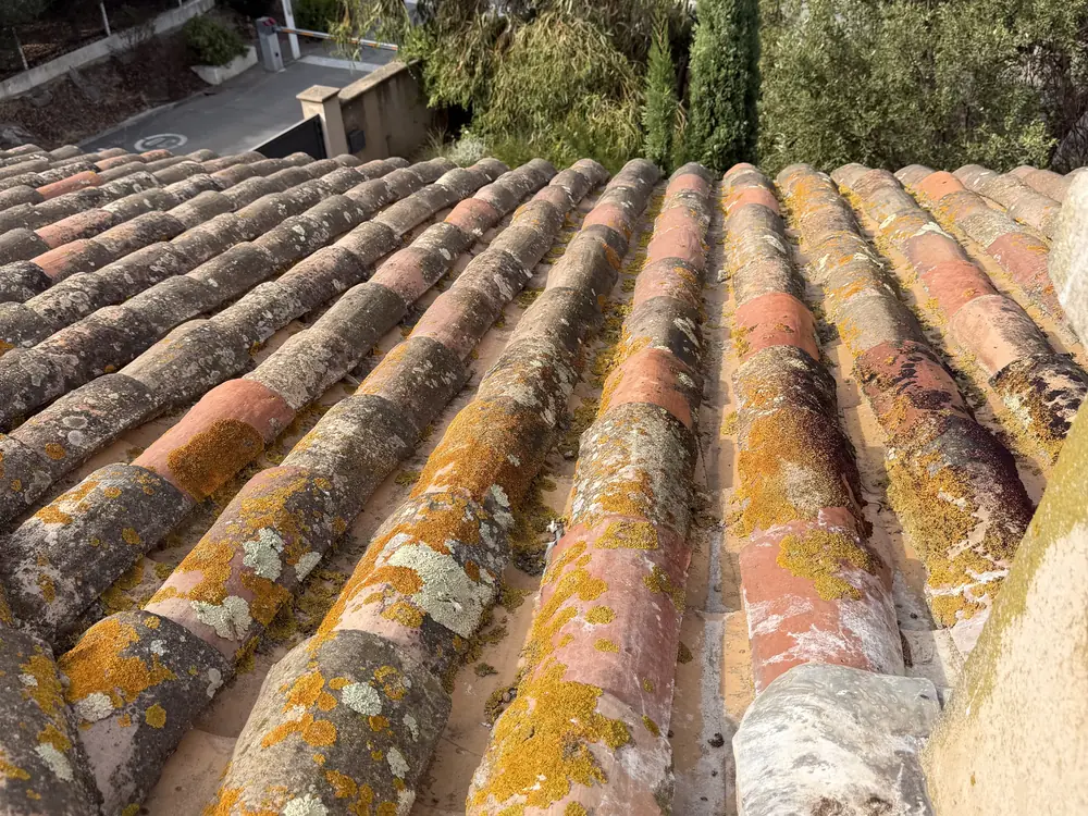 Toiture couverte de lichens orange avant démoussage à Saint-Tropez